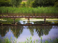 Sportangeln, Naturpark Kopacki rit, Kroatien