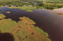 Landschaft, Naturpark Kopacki rit, Kroatien