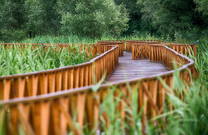 Naturpark Kopacki rit, Kroatien