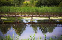 Seenlandschaft, Naturpark Kopacki rit, Kroatien