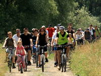 Fahrradfahren, Kopacki rit, Kroatien