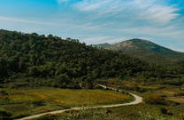 Bucht Zace, Lastovo, Kroatien