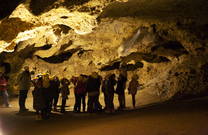 Schülergruppe, Veternica