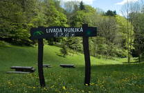 Bergwiese Livada Hunjka