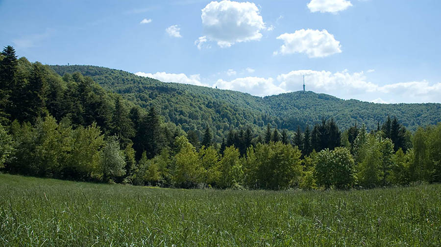 Naturpark Medvednica