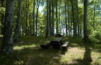 Rastplatz, Medvednica