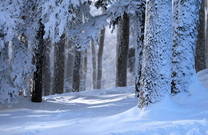 Winderlandschaft, Medvednica