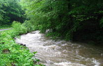 Bach Brzaja, Papuk Naturpark