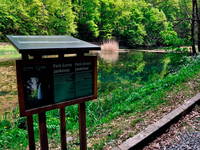 See im Tal Jankovac, Naturpark Papuk