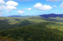 Wälder, Hügel - Papuk