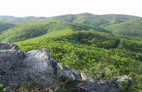Wald, Naturpark Papuk