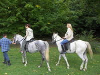 Reiten, Naturpark Papuk