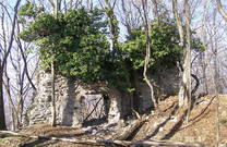 Naturpark Papuk, Ruine Orsulic