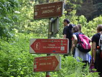 Wandern, Naturpark Papuk