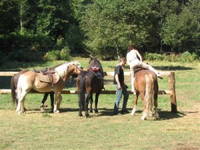 Naturpark Ucka - Reiten