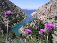 Bucht Zavratnica, Velebit