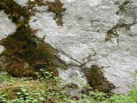 Pisani kamen, Velebit