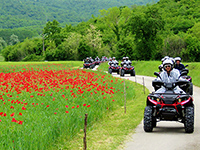 Quad Safari, Istra Adventure
