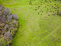 Natur erkunden, Barbariga - Vodnjan
