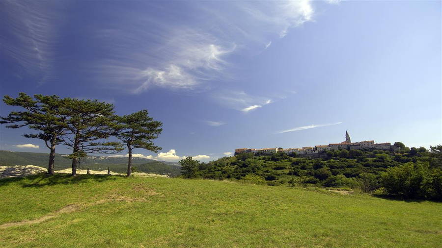 Buzet - Zentralistrien, Istrien, Kroatien