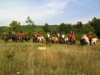 Buzet - Reiten Dolina Konja
