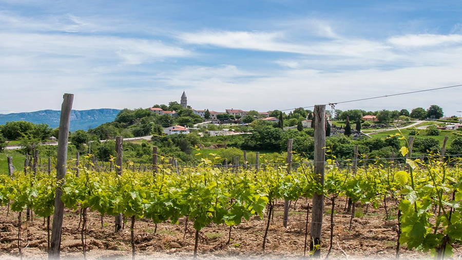 Gracisce - Istrien, Kroatien