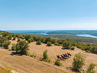 Reiten, Ranch Marconi