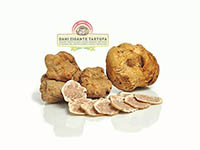 Dani Zigante Tartufa - Trüffeltage Livade