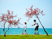 Inlineskating, Novigrad