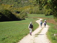 Wanderwege rund um Pazin