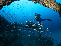 Medulin Riviera, Tauchen