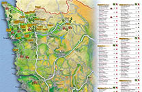 Porec - Olivenanbau - Olivenölerzeuger