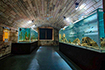 Aquarien, Aquarium Pula