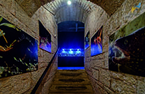 Aquarium Pula - Flur