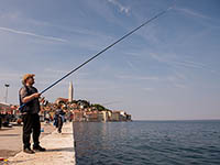 Angeln, Rovinj