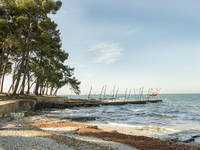 Savudrija - Bademöglichkeit beim Leuchtturm
