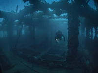 Savudrija - Tauchen Baron Gautsch