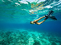 Sveta Marina, Schnorcheln