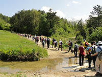 Wanderwege um Tinjan