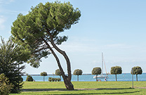 Umag, Humagus Park