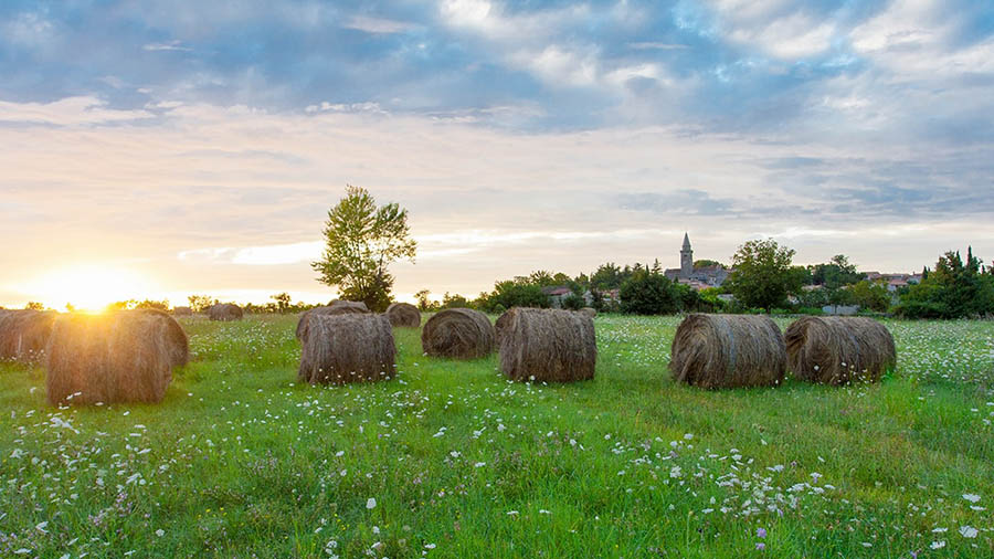 Zminj - Istrien, Kroatien