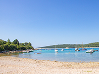 Hundestrand Artatore