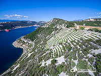 Terrassen Bakarski prezidi, Bakar