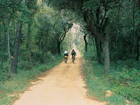 Suha Punta - Radfahren