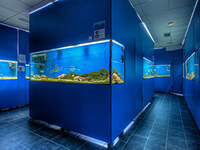Aquarium Baska