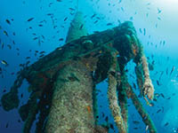 Bucht Soline - Tauchen Wrack Peltastis