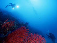 Tauchen, Riviera Crikvenica