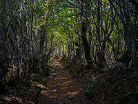 Wanderweg, Gemeinde Dobrinj