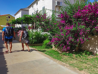 Spaziergang durch Ilovik