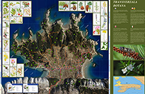 Lopar, Karte Botanik